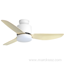 Low profile ceiling fan